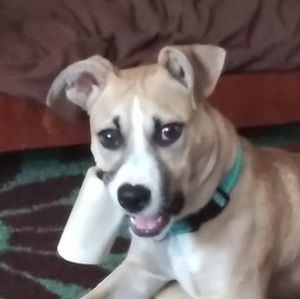 Meet your Posher, Annette